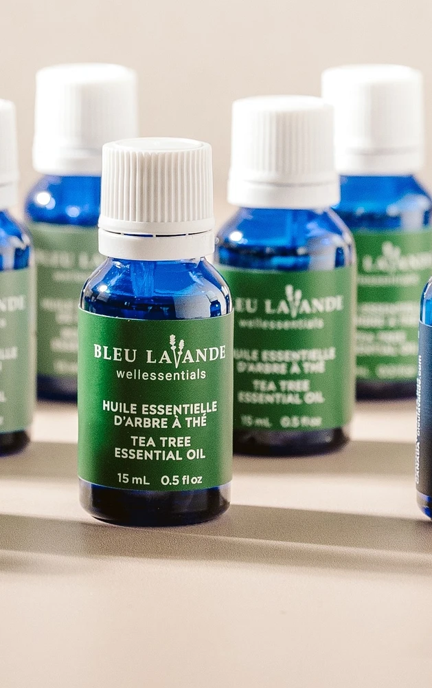NPN Tea tree essential oil