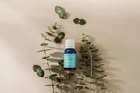 Rosemary essential oil