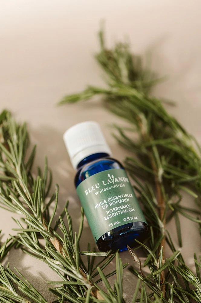 NPN Eucalyptus essential oil