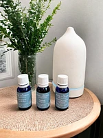Invigorating ambiance - Essential oil blend