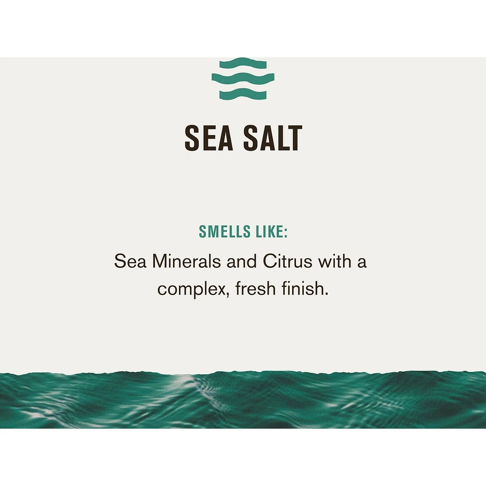 473ml 2in1 Shampoo Sea Salt