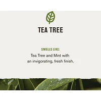 473ml 2in1 Shampoo Thickning Tea Tree