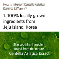 mixsoon Soondy Centella Asiatica Essence