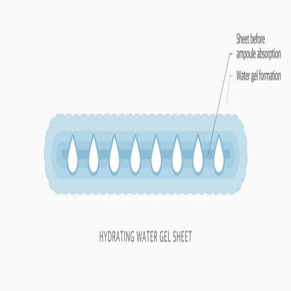 Round Lab 1025 Dokdo Water Gel Mask