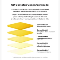 Torriden Solid-In Ceramide Lip Essence