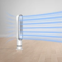Dyson Cool™ Tower Fan AM07 (White/Silver)