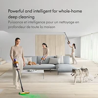 Dyson V15 Detect Cordless Vacuum