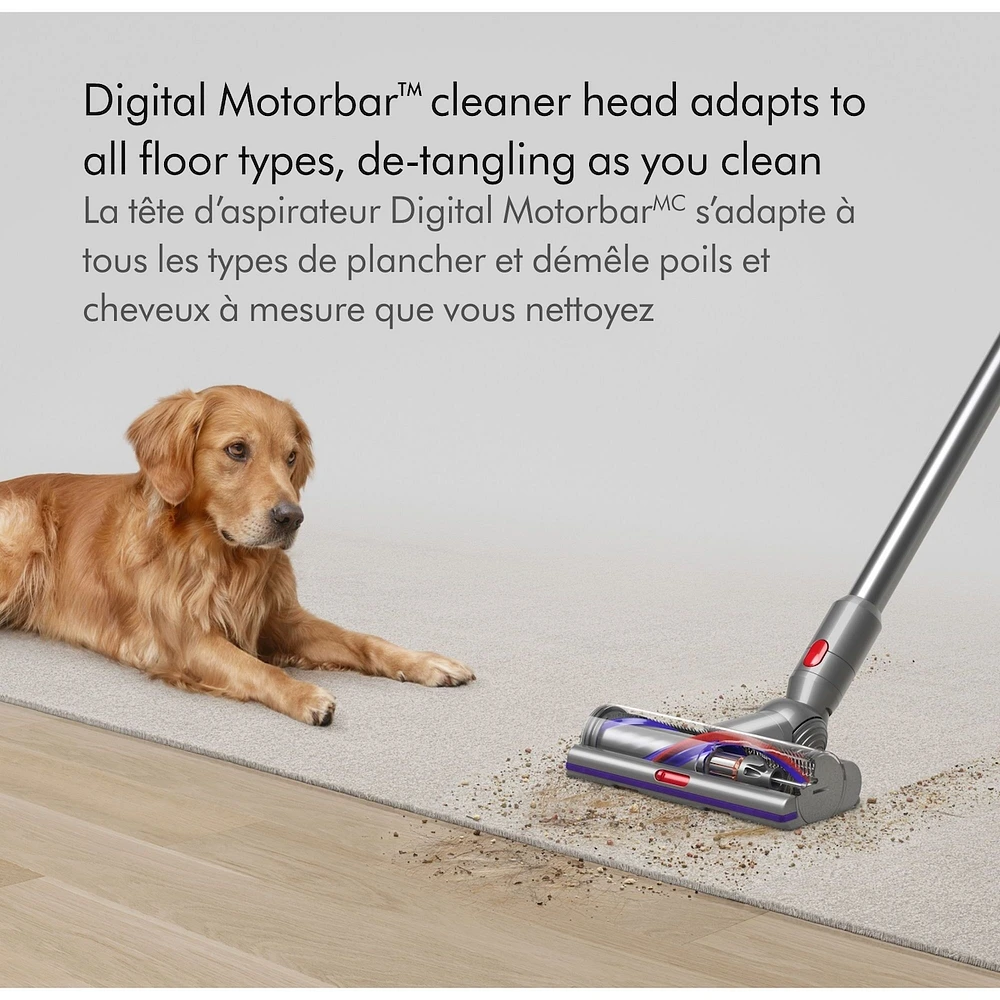 Dyson V15 Detect Cordless Vacuum