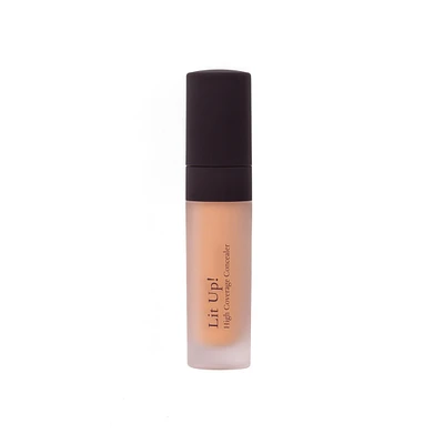 Lit Up! High Coverage Concealer