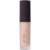 Lit Up! High Coverage Concealer