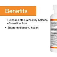 Everyday Probiotic