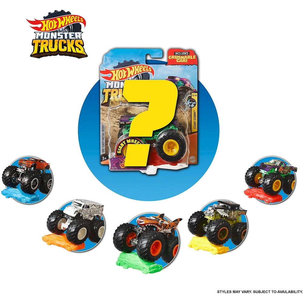 Hot Wheels Monster Truck 1:64 Scale Vehicle