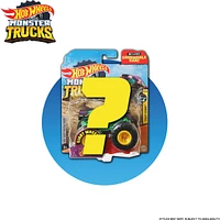 Hot Wheels Monster Truck 1:64  Scale Vehicle