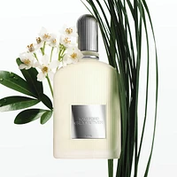 Signature Mini Discovery Set