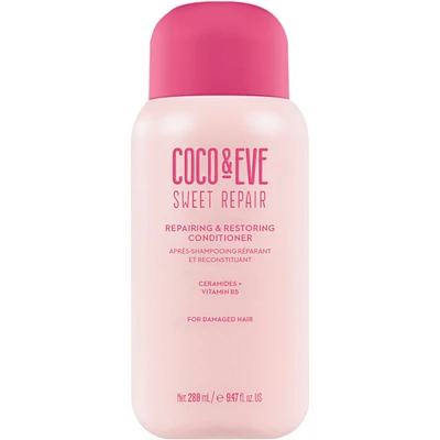 Repairing & Restoring Conditioner