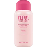 Repairing & Restoring Conditioner
