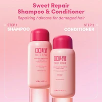 Repairing & Restoring Conditioner