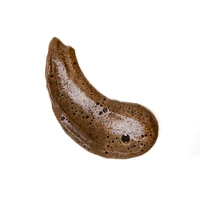 Format Voyage - Mousse de Bronzage de Bali (Teinte Dark - Foncée)