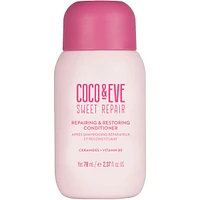 Travel Size Repairing & Restoring Conditioner