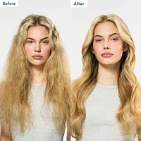 Frizz Fix & Pro Shine Mist