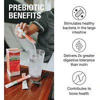 Plus Digestive Health Effervescent Electrolyte Granule Sticks, Strawberry Lemonade