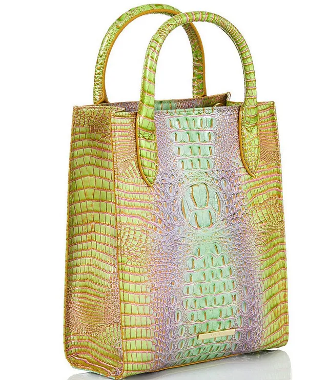 BRAHMIN Ombre Mini Melbourne Collection Moira Verbena Tote Bag