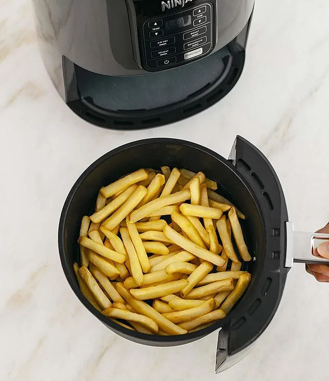 Breville Smart Fryer 4.25-Quart, 7 Functions Brushed Stainless Steel Deep  Fryer