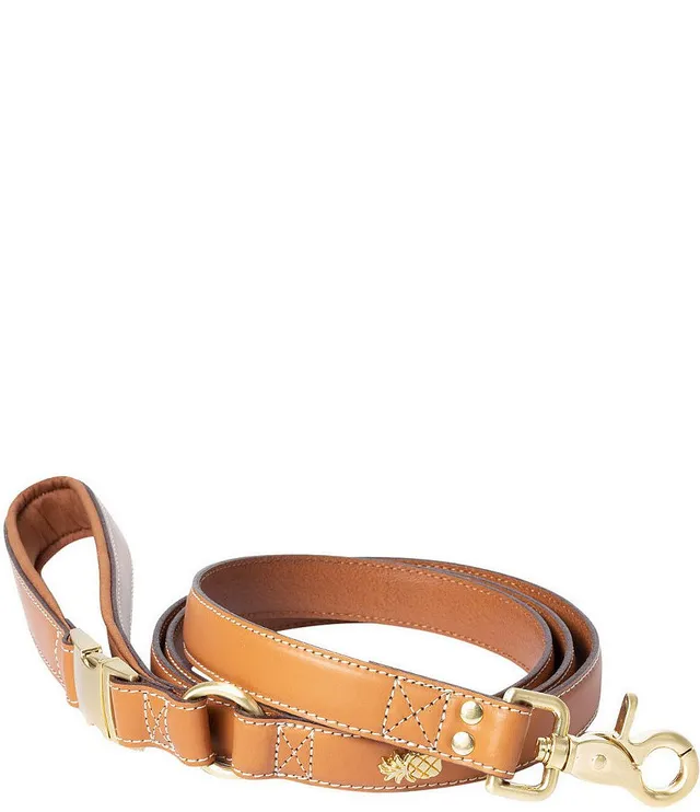 Southern Living Embossed Leather & Tortoise Charm Dog Collar