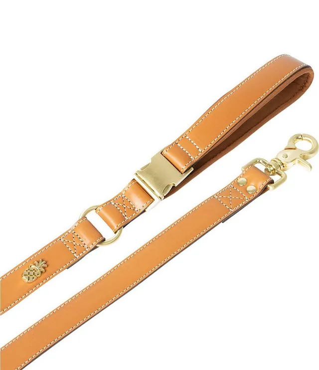 Southern Living Embossed Leather & Tortoise Charm Dog Collar