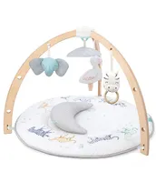 Aden + Anais Rising Star Baby Activity Gym