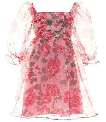 Allison & Kelly Big Girls 7-16 Long-Sleeve Floral Printed Organza Babydoll Dress