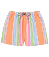 Boardies Citrus Stripe 4.5#double; Inseam Swim Trunks