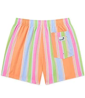 Boardies Citrus Stripe 4.5#double; Inseam Swim Trunks