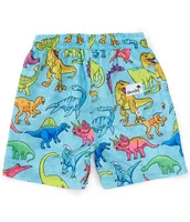 Boardies® Little/Big Boys 2-10 Dinosaur Swim Shorts