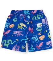 Boardies® Little/Big Boys 2-10 Dragons Volley Swim Trunk