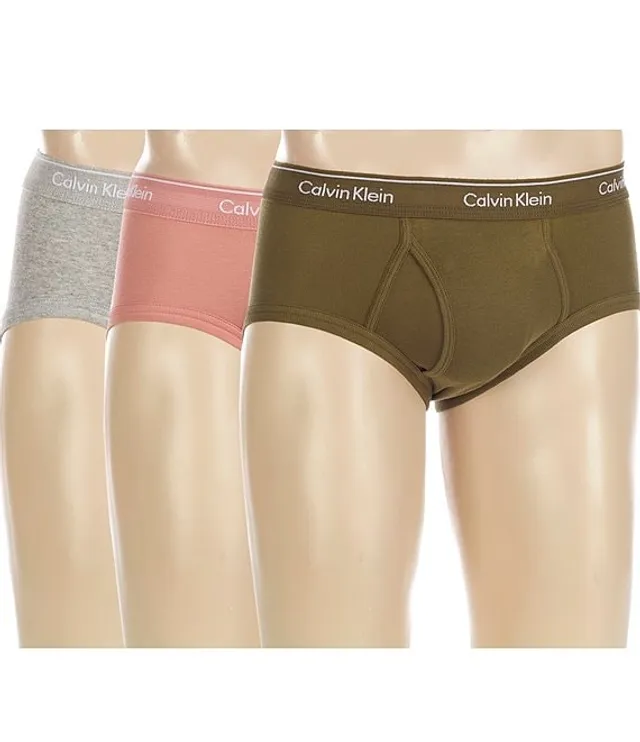 Calvin Klein Big & Tall Cotton Classic Briefs 3-Pack