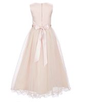 Chantilly Place Big Girls 7-12 Satin/Mesh Ball Gown