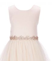 Chantilly Place Big Girls 7-12 Satin/Mesh Ball Gown