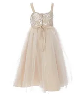 Chantilly Place Little Girls 2T-6X Embroidered Mesh Glitter Gown