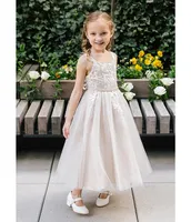 Chantilly Place Little Girls 2T-6X Embroidered Mesh Glitter Gown