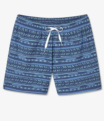 Chubbies Pemdas 5.5#double; Inseam Swim Trunks