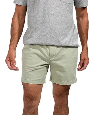 Chubbies The Problem Solvers 5.5#double; Inseam Shorts