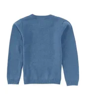 Edgehill Collection Little Boys 2T-7 Linen Blend Long Sleeve Round Neck Sweater Top