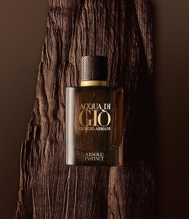 acqua di gio giorgio armani absolu instinct