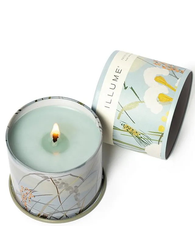 ILLUME Balsam & Cedar Vanity Tin Candle