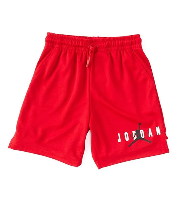 Jordan Big Boys 8-20 Essentials Mesh Shorts