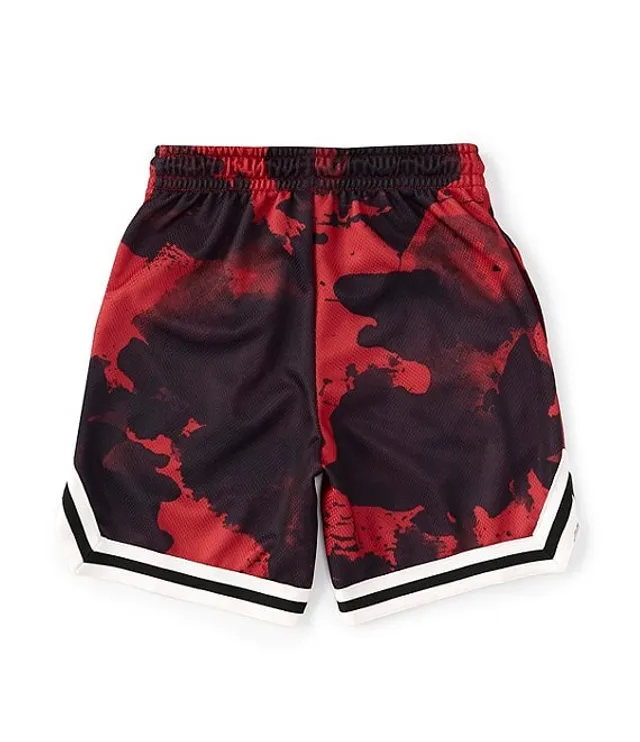 Jordan Big Boys 8-20 Essentials Mesh Shorts