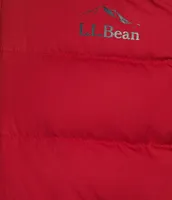 L.L.Bean Bean's Color Block Down Jacket