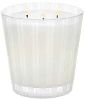 NEST New York Cedar Leaf & Lavender 3-Wick Candle