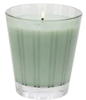 NEST New York Wild Mint & Eucalyptus Classic Candle